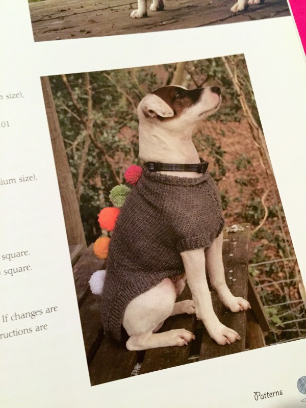 Cool Girl's Guide to Knitting example