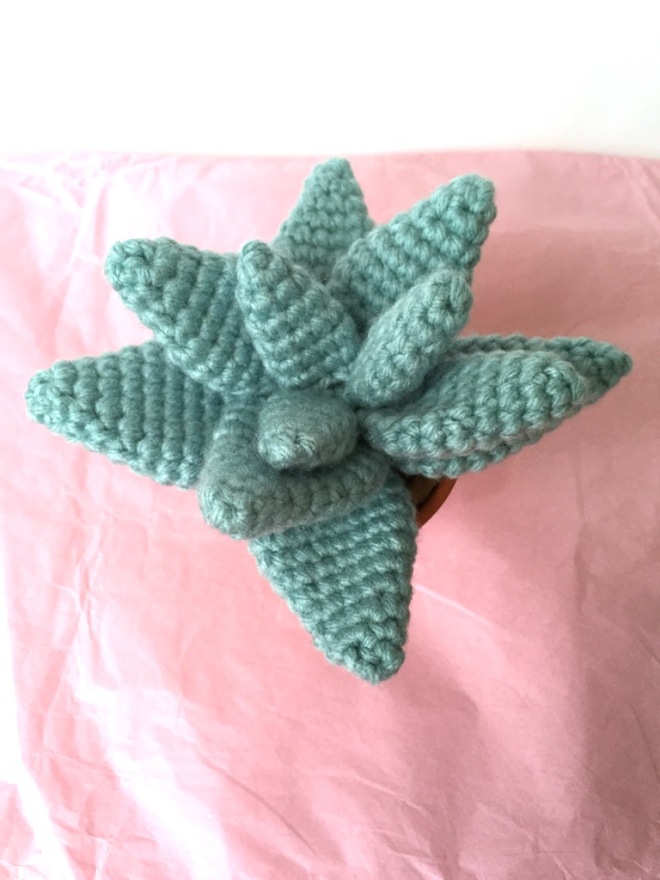 not your average crochet - agave