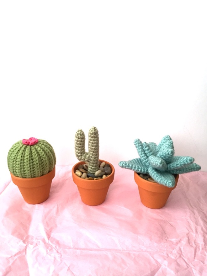 IMG_3960not your average crochet - cacti