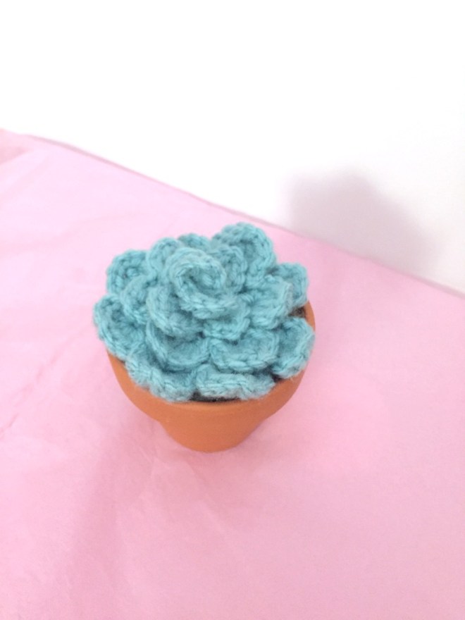 not your average crochet - succulent